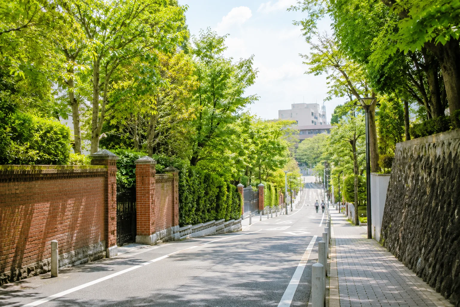 新緑の並木とレンガ塀が続く、三田の落ち着いた文教地区の街並み
